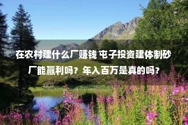 在农村建什么厂赚钱 屯子投资建体制砂厂能赢利吗？年入百万是真的吗？