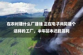 在农村建什么厂赚钱 正在屯子共同建个这样的工厂，半年回本还能赢利