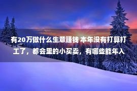 有20万做什么生意赚钱 本年没有打算打工了，都会里的小买卖，有哪些能年入20万以上？