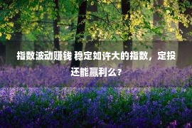 指数波动赚钱 稳定如许大的指数，定投还能赢利么？