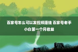 百家号怎么可以发视频赚钱 百家号老手小白第一个月收益