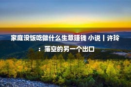 家庭没饭吃做什么生意赚钱 小说丨许玲：落空的另一个出口