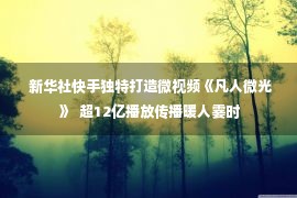  新华社快手独特打造微视频《凡人微光》  超12亿播放传播暖人霎时