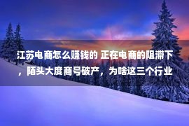 江苏电商怎么赚钱的 正在电商的阻滞下，陌头大度商号破产，为啥这三个行业却没有受作用？