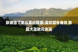 欧易涨了怎么卖出股票:卖空禁令奏效 欧股大涨欧元走高