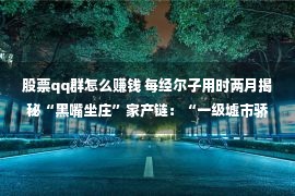 股票qq群怎么赚钱 每经尔子用时两月揭秘“黑嘴坐庄”家产链：“一级墟市骄子一天浮盈140万！”赢利就凭一张嘴？