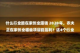 什么行业能在家创业赚钱 2020年，农夫正在家创业哪些项目能赢利？这4个行业正在屯子都没有错！