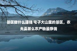 景区做什么赚钱 屯子大山里的景区，农夫卖甚么农产物最挣钱