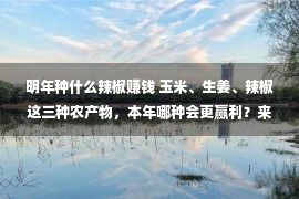 明年种什么辣椒赚钱 玉米、生姜、辣椒这三种农产物，本年哪种会更赢利？来看分解！