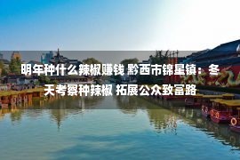 明年种什么辣椒赚钱 黔西市锦星镇：冬天考察种辣椒 拓展公众致富路