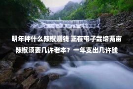 明年种什么辣椒赚钱 正在屯子栽培两亩辣椒须要几许老本？一年支出几许钱