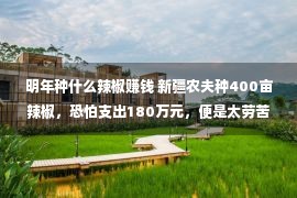 明年种什么辣椒赚钱 新疆农夫种400亩辣椒，恐怕支出180万元，便是太劳苦了