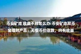 币安矿池 收益不对怎么办:币安矿池双币宝理财产品：无惧币价涨跌，均有收益！