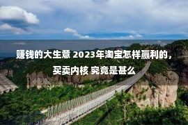 赚钱的大生意 2023年淘宝怎样赢利的，买卖内核 究竟是甚么