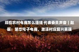 现在农村电商怎么赚钱 代表委员声音｜赵馥：繁华屯子电商，激活村庄复兴更强“数字引擎”