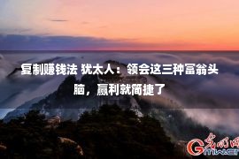 复制赚钱法 犹太人：领会这三种富翁头脑，赢利就简捷了