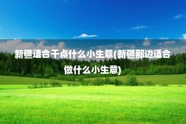 新疆适合干点什么小生意(新疆那边适合做什么小生意)