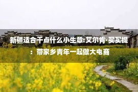 新疆适合干点什么小生意:艾尔肯·买买提：带家乡青年一起做大电商