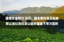 赚钱合法努力 马云：最主要的是正在按照公法以及社会公德的基础下尽力赢利