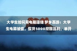 大学生如何用电脑赚钱 梦乡西游：大学生电脑被偷，假贷5000挖图赢利，单开支出远超五开