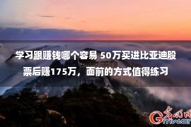 学习跟赚钱哪个容易 50万买进比亚迪股票后赚175万，面前的方式值得练习