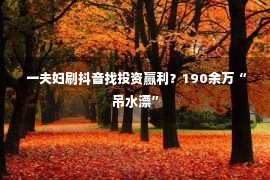  一夫妇刷抖音找投资赢利？190余万“吊水漂”