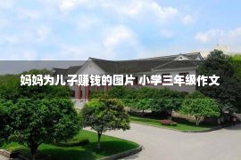 妈妈为儿子赚钱的图片 小学三年级作文