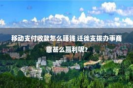 移动支付收款怎么赚钱 迁徙支拨办事商靠甚么赢利呢？