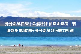 齐齐哈尔种植什么最赚钱 新春走基层｜情满鹤乡 修建银行齐齐哈尔分行倾力打造金融助农生态圈