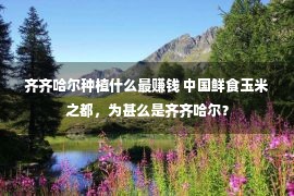 齐齐哈尔种植什么最赚钱 中国鲜食玉米之都，为甚么是齐齐哈尔？