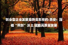 创业型企业发展趋势是怎样的:西安：厚植“双创”沃土 赋能高质量发展