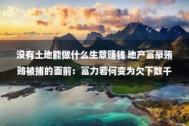 没有土地能做什么生意赚钱 地产富豪贿赂被捕的面前：富力若何变为欠下数千亿债务的房企