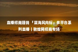 直播招商赚钱 「蓝海风向标」多平台系列直播｜敦煌网招商专场