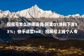 视频号怎么拼搏赚钱:阿里Q1净利下滑53％；快手进军toB；视频号上线个人专栏丨零售电商周报