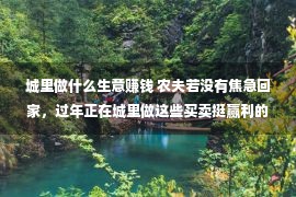 城里做什么生意赚钱 农夫若没有焦急回家，过年正在城里做这些买卖挺赢利的，节后再回更好