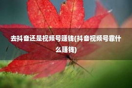 去抖音还是视频号赚钱(抖音视频号靠什么赚钱)