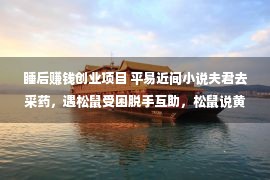 睡后赚钱创业项目 平易近间小说夫君去采药，遇松鼠受困脱手互助，松鼠说黄昏睡眠别熄灯