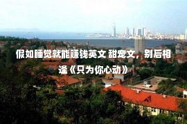 假如睡觉就能赚钱英文 甜宠文，别后相逢《只为你心动》