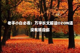  老手小白必看：万字长文解读OZON适没有顺应你