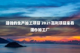 赚钱的生产加工项目 2021赢利项目来看湿巾加工厂