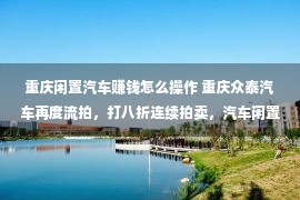 重庆闲置汽车赚钱怎么操作 重庆众泰汽车再度流拍，打八折连续拍卖，汽车闲置产能何如盘活？