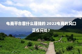 电商平台靠什么赚钱的 2022电商的风口正在何处？