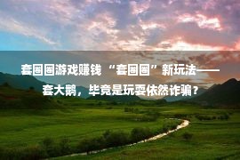 套圈圈游戏赚钱 “套圈圈”新玩法——套大鹅，毕竟是玩耍依然诈骗？