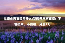 抖音虚拟直播赚钱么:我做元宇宙直播：不懂技术、不露脸，月赚2万