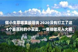 做小生意哪里最赚钱 2020没有打工了这4个最赢利的小买卖，一集体做月入大概2万以上