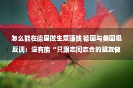 怎么能在德国做生意赚钱 德国与美国唱反调：没有能“只跟志同志合的盟友做买卖”