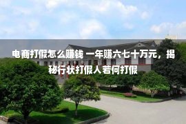 电商打假怎么赚钱 一年赚六七十万元，揭秘行状打假人若何打假