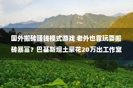 国外搬砖赚钱模式游戏 老外也靠玩耍搬砖暴富？巴基斯坦土豪花20万出工作室，一天赚3万