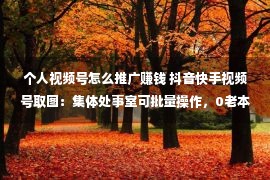 个人视频号怎么推广赚钱 抖音快手视频号取图：集体处事室可批量操作，0老本日赚多少百