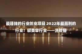 最赚钱的行业创业项目 2022年最赢利的行业！轻美容行业——洗脸猫